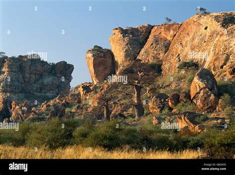 The Rise and Fall of Mapungubwe:  A Monumental Southern African Kingdom Facing Collapse Amidst Environmental Pressures and Internal Strife